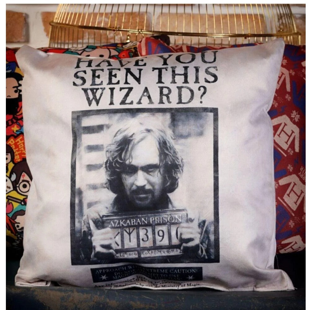 Wizarding World - Harry Potter Have You Seen This Wizard