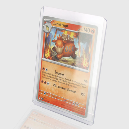 Phoenix Shield Toploader Standard (100'lü Kutu)