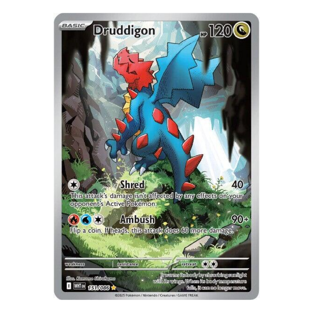 POKEMON TCG Druddigon #151